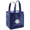 Lunch Tote  Insulated Thumbnail