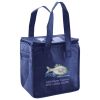 Lunch Tote  Insulated Thumbnail