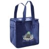 Lunch Tote  Insulated Thumbnail