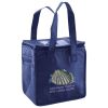 Lunch Tote  Insulated Thumbnail