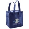 Lunch Tote  Insulated Thumbnail