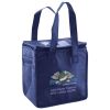Lunch Tote  Insulated Thumbnail
