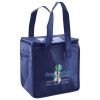 Lunch Tote  Insulated Thumbnail