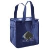 Lunch Tote  Insulated Thumbnail