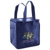 Lunch Tote  Insulated Thumbnail