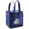 Lunch Tote  Insulated Thumbnail