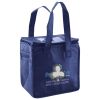 Lunch Tote  Insulated Thumbnail