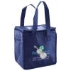 Lunch Tote  Insulated Thumbnail