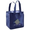 Lunch Tote  Insulated Thumbnail