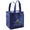 Lunch Tote  Insulated Thumbnail