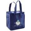 Lunch Tote  Insulated Thumbnail