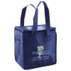 Lunch Tote  Insulated Thumbnail