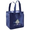 Lunch Tote  Insulated Thumbnail