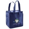 Lunch Tote  Insulated Thumbnail