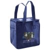 Lunch Tote  Insulated Thumbnail