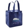 Lunch Tote  Insulated Thumbnail