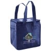 Lunch Tote  Insulated Thumbnail