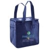 Lunch Tote  Insulated Thumbnail