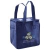 Lunch Tote  Insulated Thumbnail