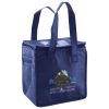 Lunch Tote  Insulated Thumbnail