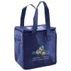 Lunch Tote  Insulated Thumbnail