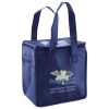 Lunch Tote  Insulated Thumbnail