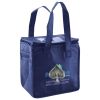 Lunch Tote  Insulated Thumbnail
