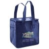 Lunch Tote  Insulated Thumbnail