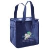 Lunch Tote  Insulated Thumbnail
