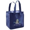 Lunch Tote  Insulated Thumbnail