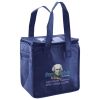 Lunch Tote  Insulated Thumbnail