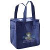 Lunch Tote  Insulated Thumbnail