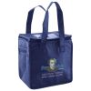 Lunch Tote  Insulated Thumbnail