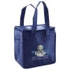Lunch Tote  Insulated Thumbnail