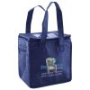 Lunch Tote  Insulated Thumbnail