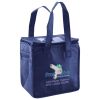 Lunch Tote  Insulated Thumbnail