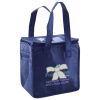 Lunch Tote  Insulated Thumbnail