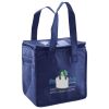 Lunch Tote  Insulated Thumbnail