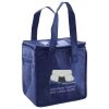 Lunch Tote  Insulated Thumbnail