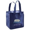 Lunch Tote  Insulated Thumbnail