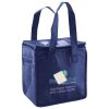 Lunch Tote  Insulated Thumbnail