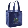 Lunch Tote  Insulated Thumbnail
