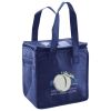 Lunch Tote  Insulated Thumbnail