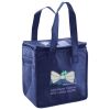 Lunch Tote  Insulated Thumbnail