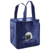 Lunch Tote  Insulated Thumbnail