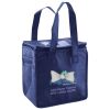 Lunch Tote  Insulated Thumbnail