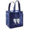 Lunch Tote  Insulated Thumbnail