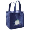 Lunch Tote  Insulated Thumbnail