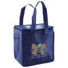 Lunch Tote  Insulated Thumbnail