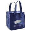 Lunch Tote  Insulated Thumbnail